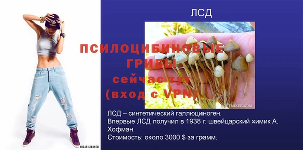 гидра Нефтегорск