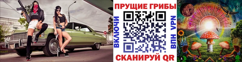 Псилоцибиновые грибы мухоморы  Купить где  Бийск 