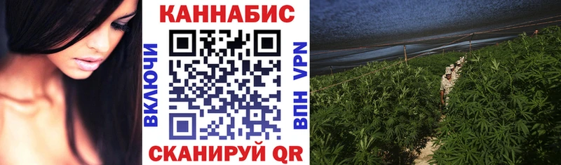 Шишки марихуана Amnesia  Купить  Бийск 